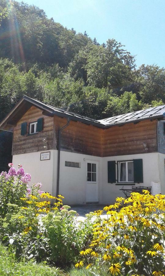Liuis Villa Bad Ischl Dış mekan fotoğraf